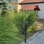 Ruttkai