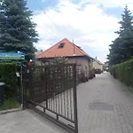 Ruttkai *